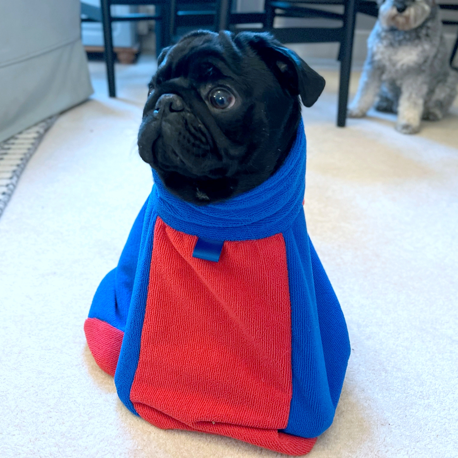 Dog drying bag blue1 Dog drying bag blue