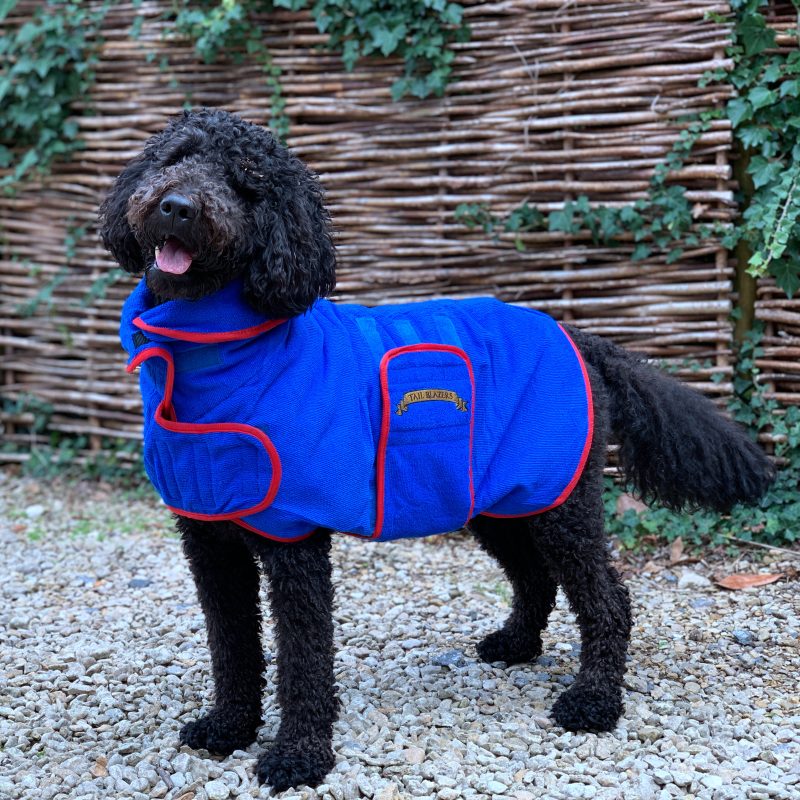 Classic Dog Drying Coat blue