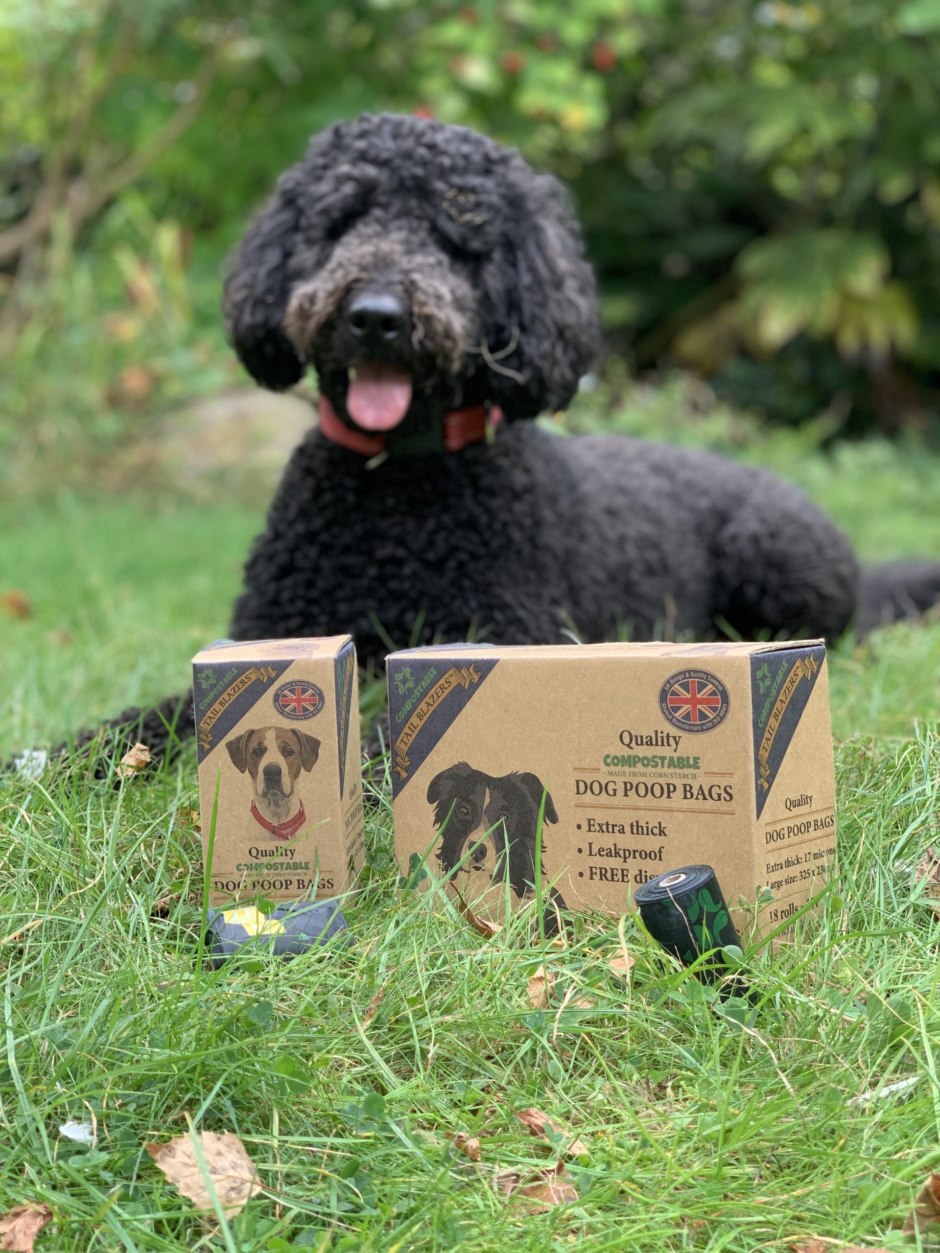 Dog poop bag Dog poop bag