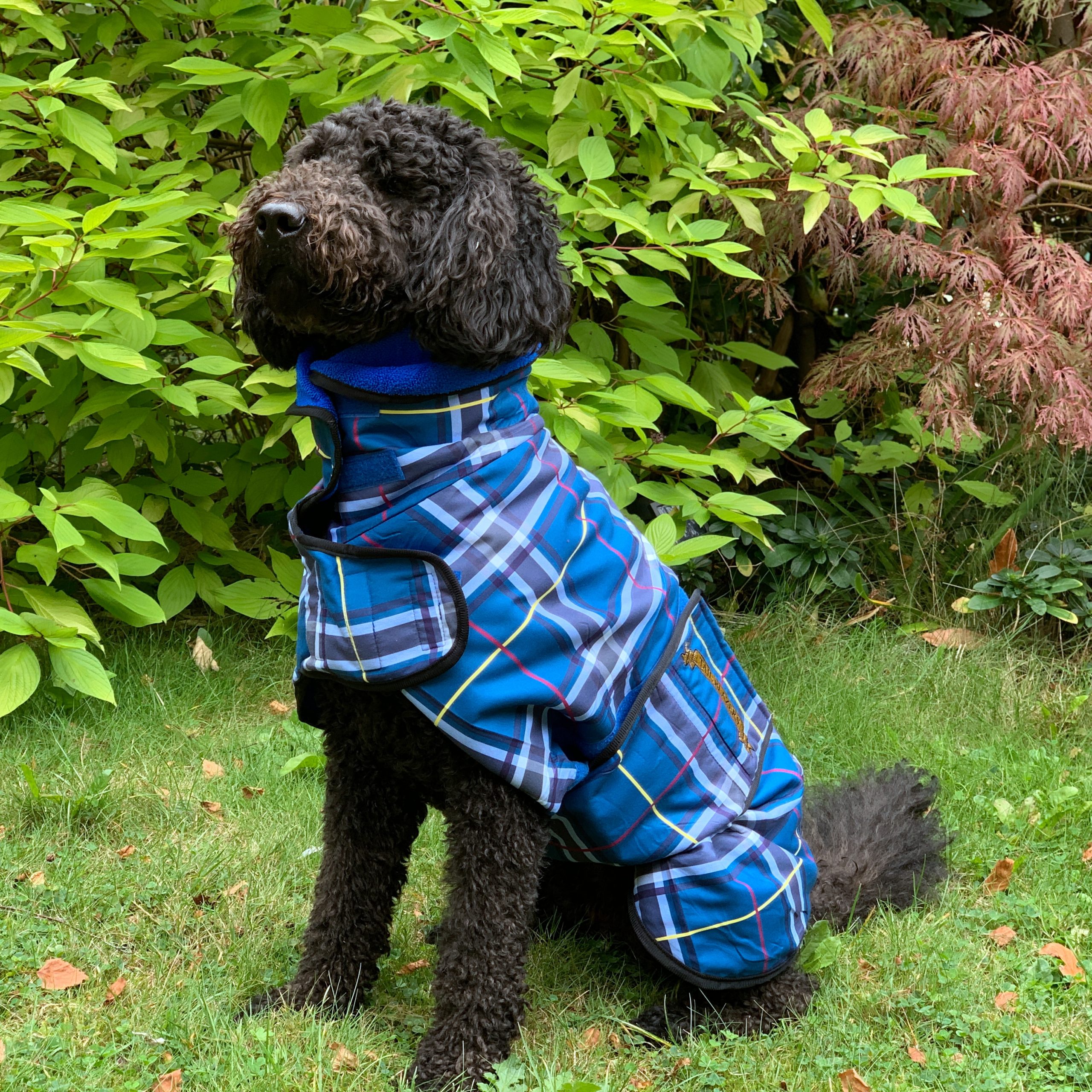 Premium Dog Drying Coat Blue2 Premium Dog Drying Coat Blue