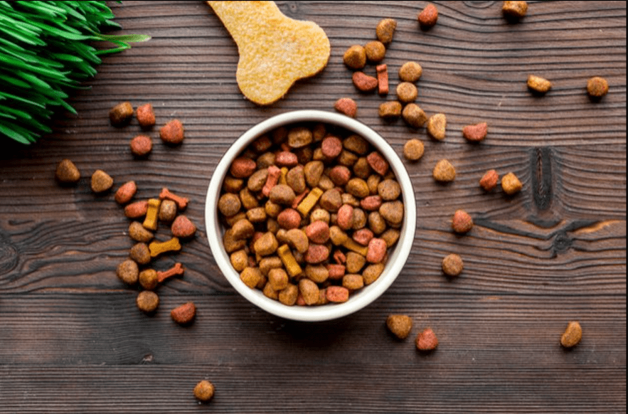 Top 5 Ingredients You Should Look for In Your Dog’s Food_Tail Blazers UK Dog Supplies