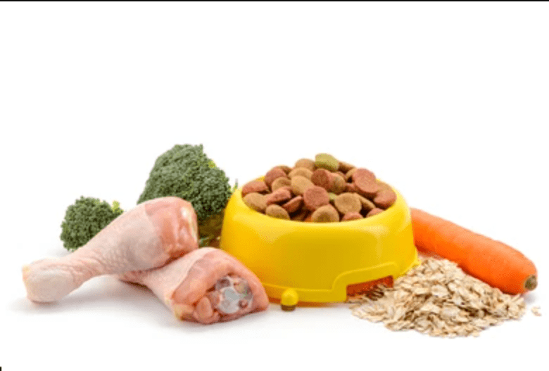 UK Dog food ingredient to avoid |UK dog's food ingredients guide_Top 5 Ingredients You Should Look for In Your Dog’s Food_uk dog food meals_Tail Blazers UK Dog Supplies_Dog dry coat uk_UK Dog supplies dog accessories_Tail Blazers UK