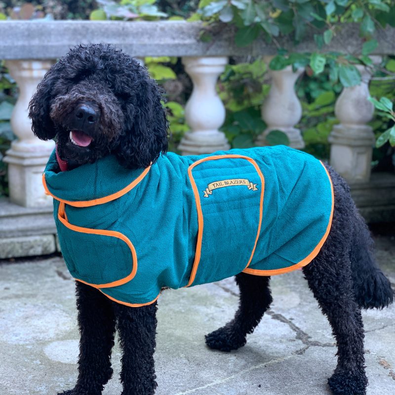 Classic Dog Drying Coat Green