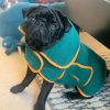 Classic Dog Drying Coat Green