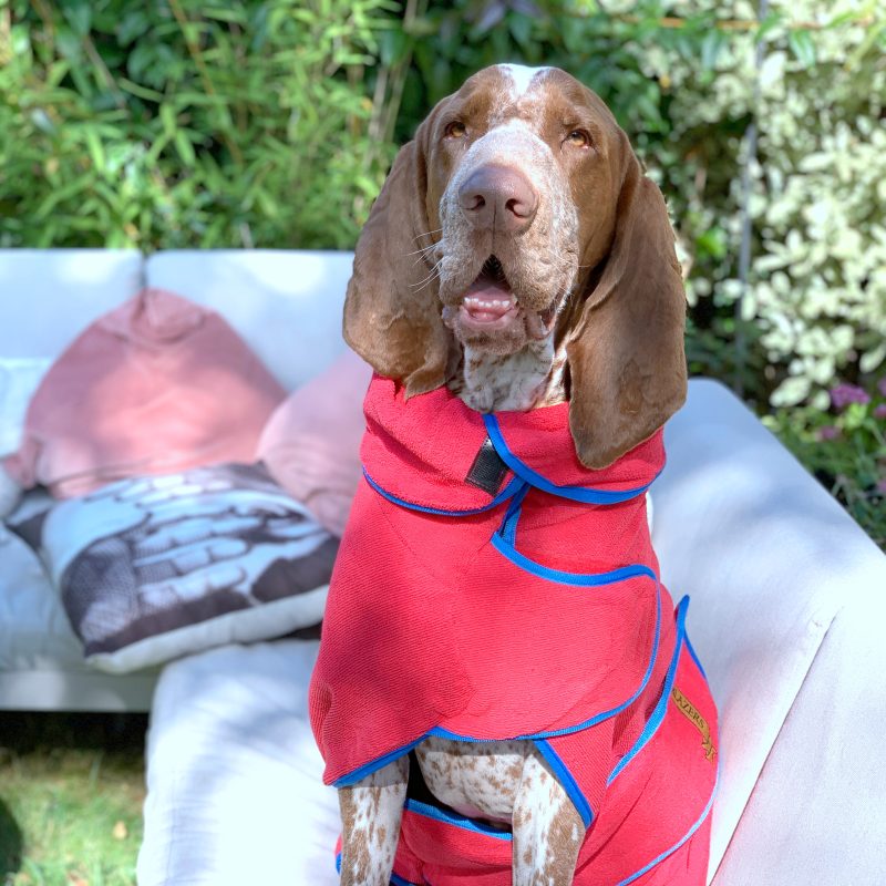 Classic Dog Drying Coat Red