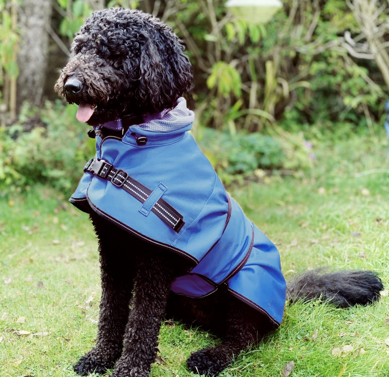 Rain coat blue