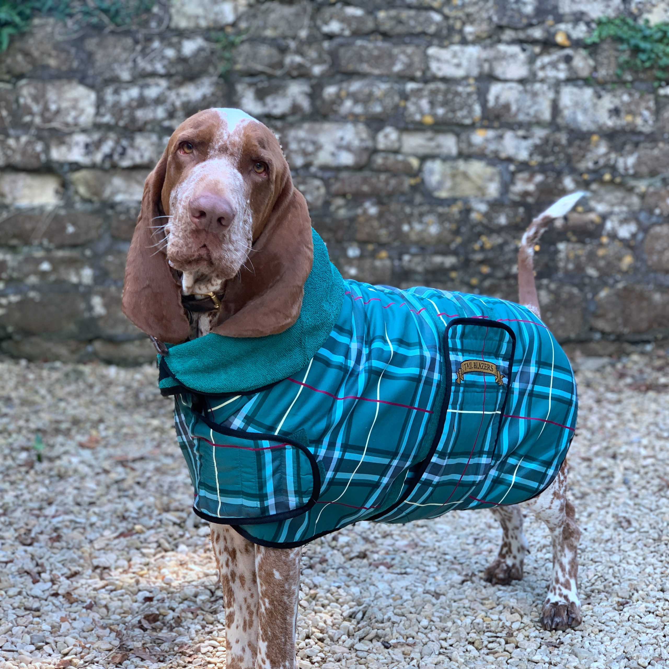 Premium Dog Drying Coat_Green5