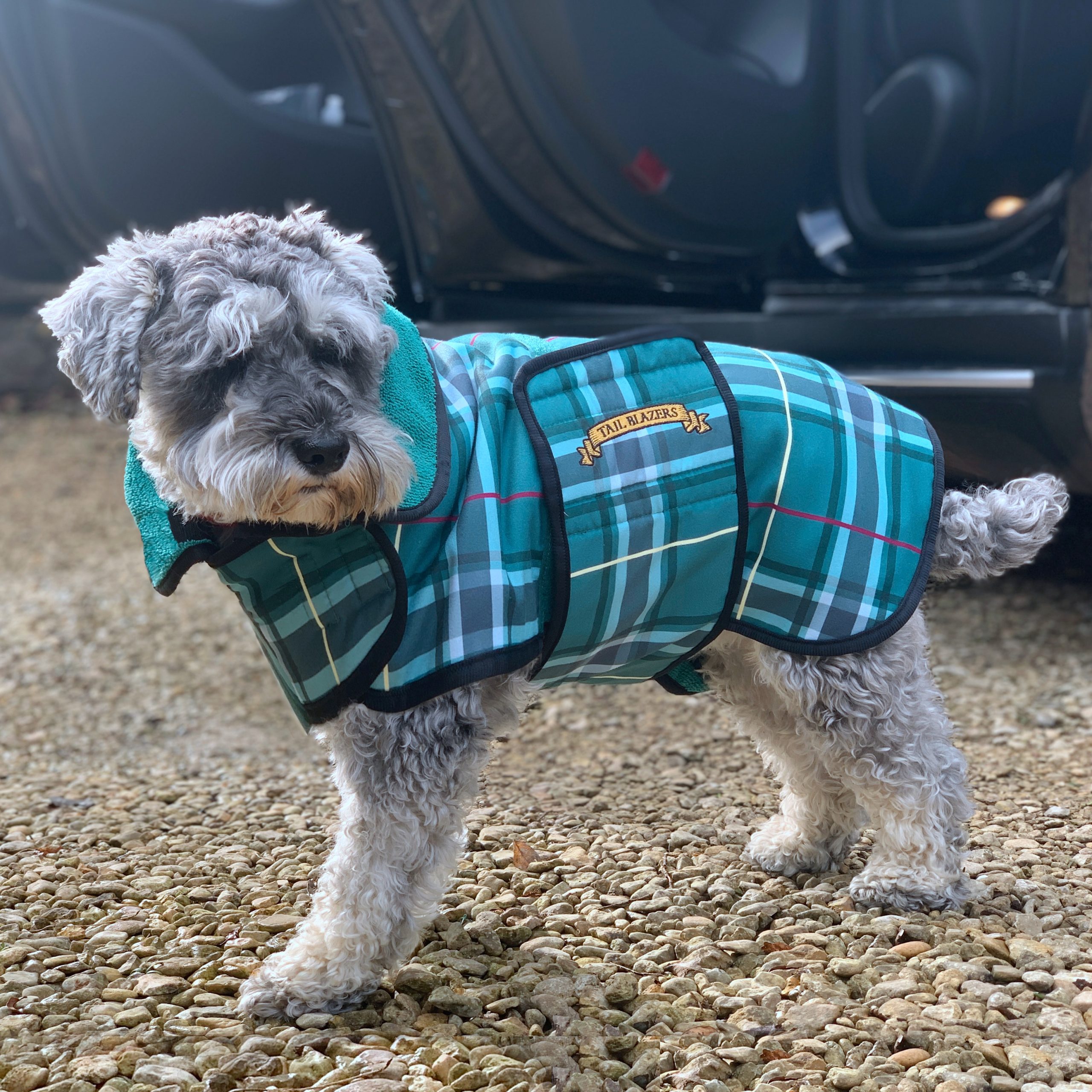 Premium Dog Drying Coat_Green7 Premium Dog Drying Coat_Green