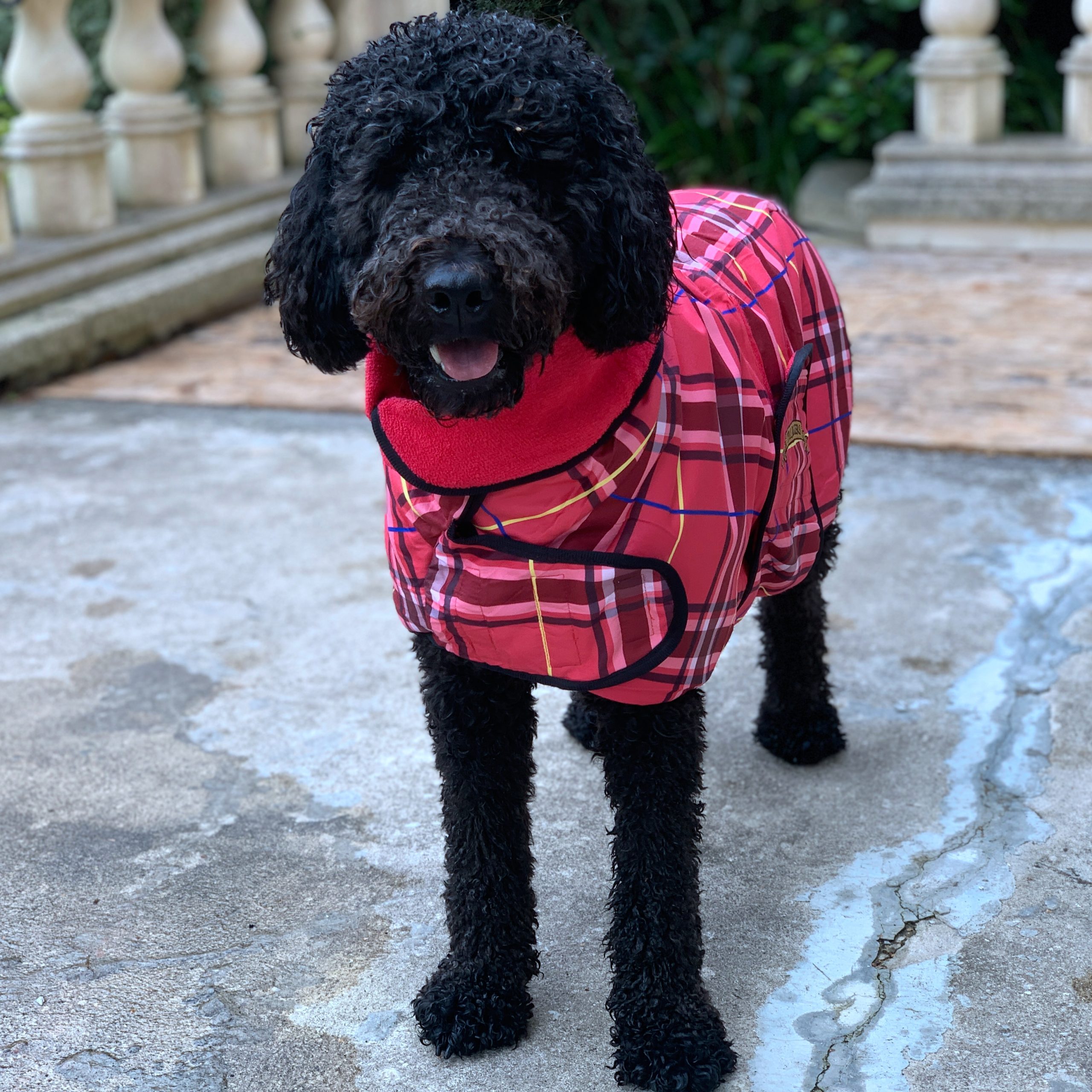 Premium Dog Drying Coat Premium Dog Drying Coat