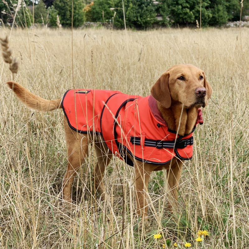 Rain coat_Red