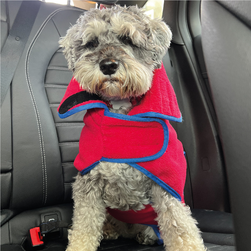 Classic Dog Drying Coat Red Classic Dog Drying Coat Red